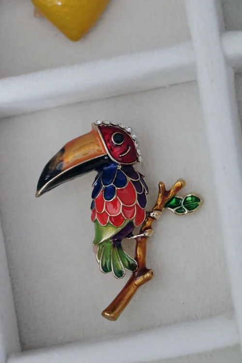 سنجاق سینه پرنده