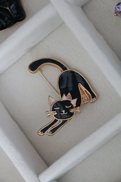 سنجاق سینه پیشی